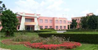 ����ǰ�вݵ�

AI ���ɵ����ݿ��ܲ���ȷ��